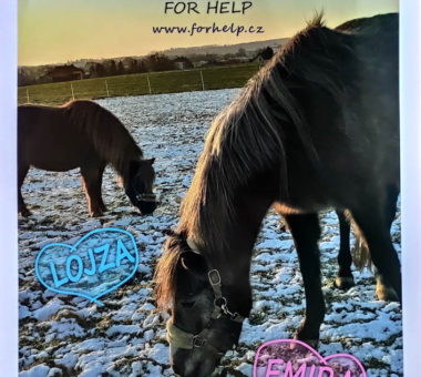 For Help 2020 02